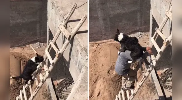 La tierna escena cautivó a los usuarios en las redes sociales.