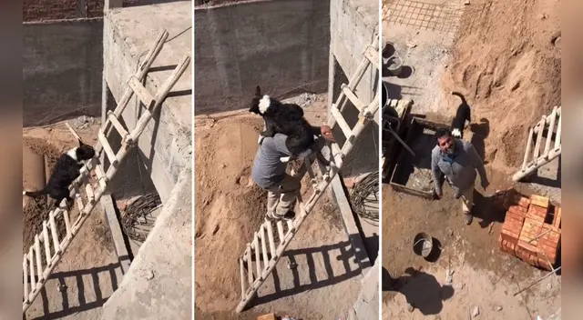 El clip cuenta con miles de reproducciones en TikTok.