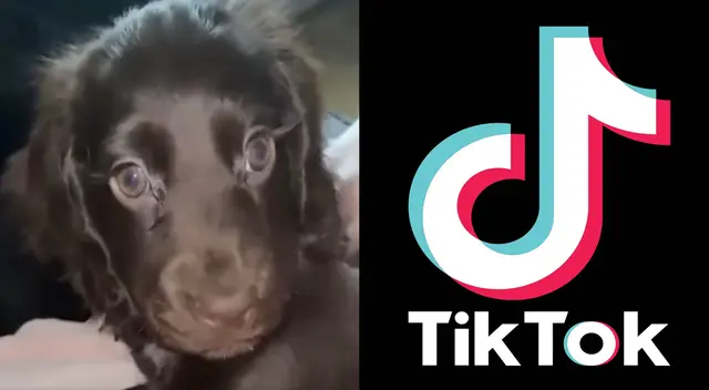 Llamativo video es toda una sensación en las redes sociales.