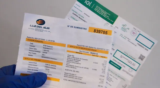 El Poder Ejecutivo autorizó que se incluyan nuevos beneficiarios del Bono electricidad, el subsidio que se otorga para poder pagar el recibo de luz.