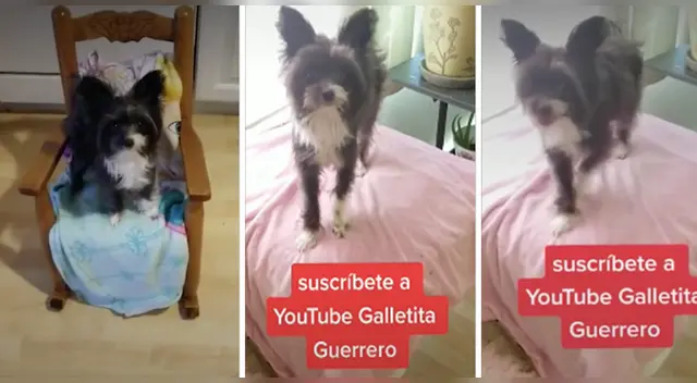 La escena se ha robado el corazón de miles de usuarios en las redes sociales. La escena se ha robado el corazón de miles de usuarios en las redes sociales.