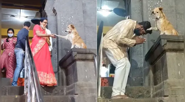 El clip cuenta con miles de reproducciones en Facebook. El clip cuenta con miles de reproducciones en Facebook.