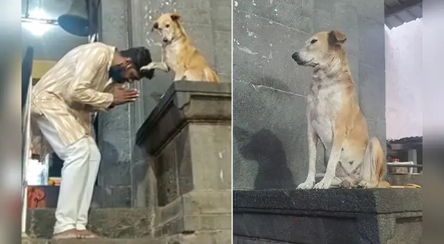 La escena causó sensación en las redes sociales. La escena causó sensación en las redes sociales.