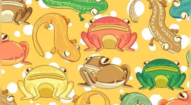 Pocos han podido dar con la respuesta correcta de este desafío viral.