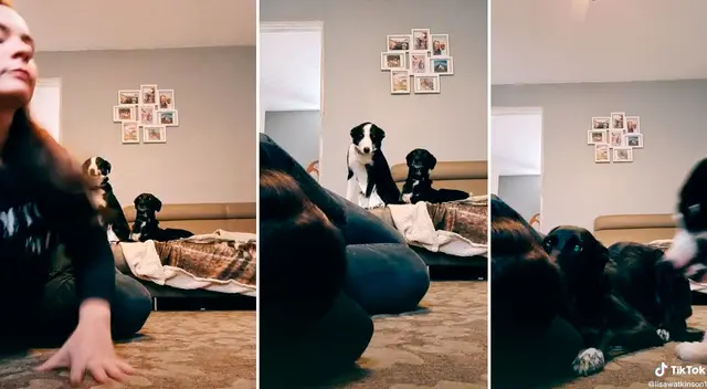 El video logró obtener más de 126 mil reproducciones en TikTok. El video logró obtener más de 126 mil reproducciones en TikTok.