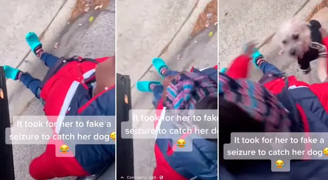 La joven hizo todo lo posible para capturar a su mascota. La joven hizo todo lo posible para capturar a su mascota.