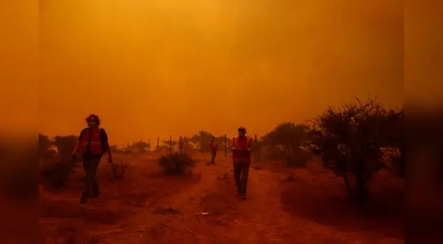Un voraz incendio forestal se extendió en la últimas horas en la zona costera de Chile. Un voraz incendio forestal se extendió en la últimas horas en la zona costera de Chile.