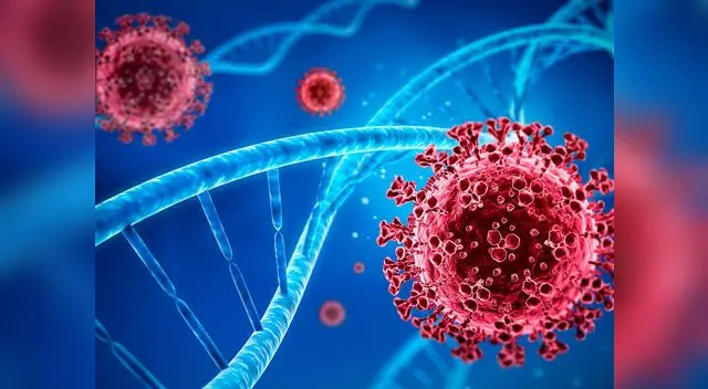 Las muestras de la nueva variante “mostraron un aumento en la carga viral relativa de entre 10 y 1,000 veces” .