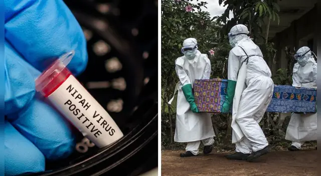 OMS calificó este virus como uno de los diez patógenos más peligrosos en términos de potencial epidémico.