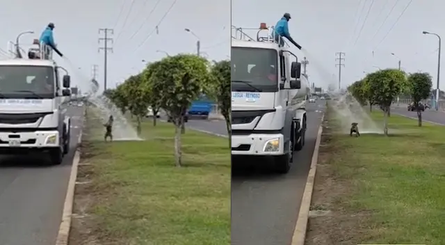 Peculiar video del perro se viralizó en las redes sociales. Peculiar video del perro se viralizó en las redes sociales.