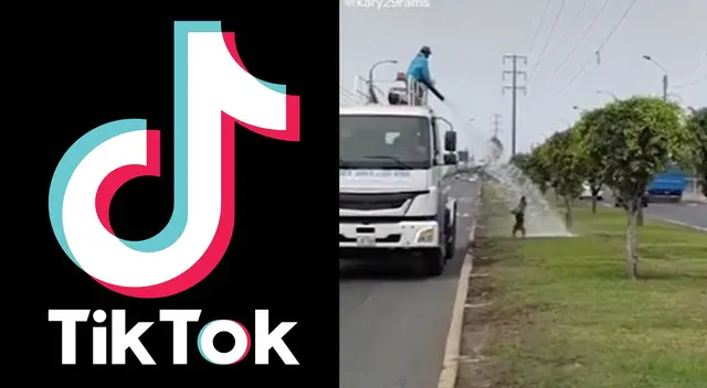 Peculiar video del perro se viralizó en las redes sociales. Peculiar video del perro se viralizó en las redes sociales.