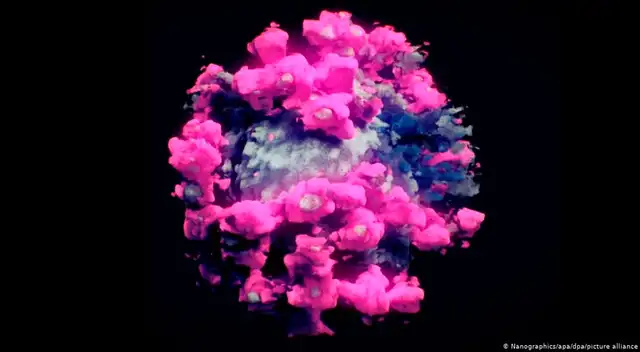 Los científicos lograron extraer, escanear y digitalizar partículas intactas del virus del SARS-CoV-2 en muestras.