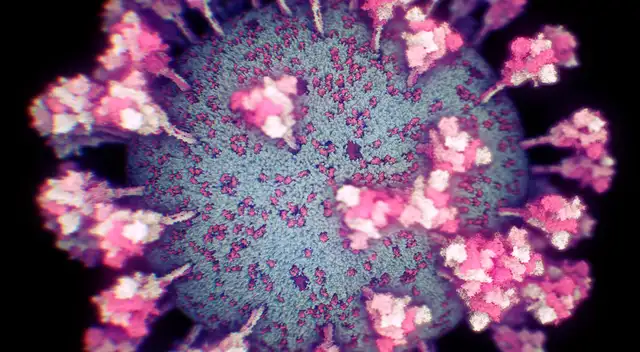 Los científicos lograron extraer, escanear y digitalizar partículas intactas del virus del SARS-CoV-2 en muestras.