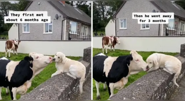 El clip cuenta con miles de reproducciones en TikTok. El clip cuenta con miles de reproducciones en TikTok.