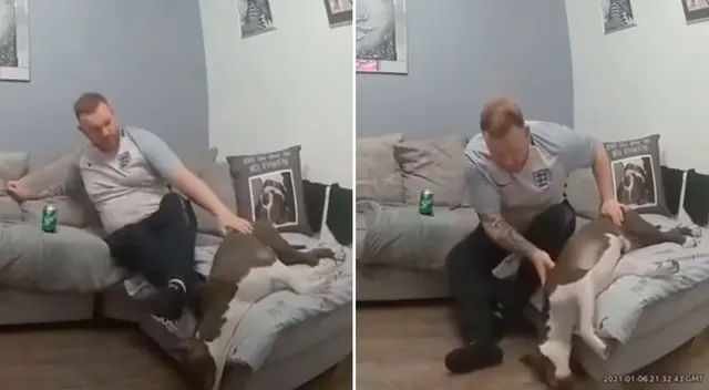 El perrito cayó en un sueño profundo, lo que provocó el susto de su dueño.