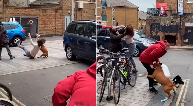 El can se abalanzó contra la agraviada y ayudó al ladrón. El can se abalanzó contra la agraviada y ayudó al ladrón.