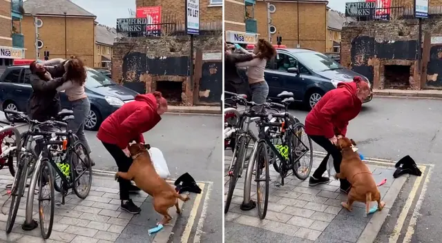 El can se abalanzó contra la agraviada y ayudó al ladrón. El can se abalanzó contra la agraviada y ayudó al ladrón.