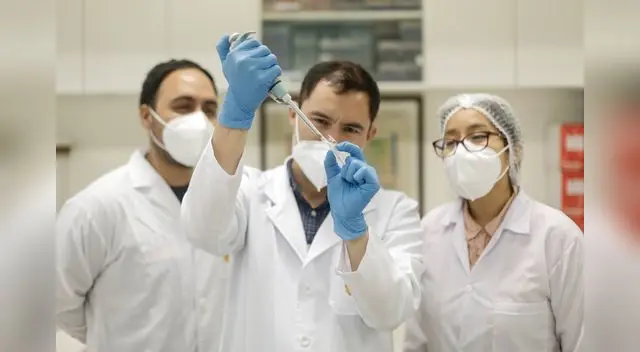 Alemania comunicó este viernes de forma preliminar su primer caso de coronavirus de la variante descubierta en Brasil. Alemania comunicó este viernes de forma preliminar su primer caso de coronavirus de la variante descubierta en Brasil.