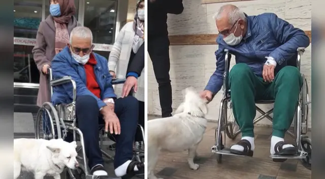 El clip cuenta con miles de reproducciones en YouTube.