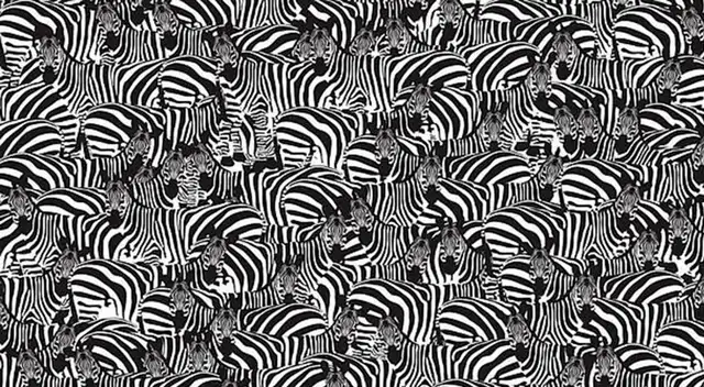 Solo tienes 20 segundos para encontrar la solución del desafío de Facebook.