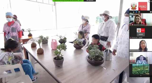 Niños y Niñas con discapacidad intelectual cultivan sus propios alimentos en Arequipa