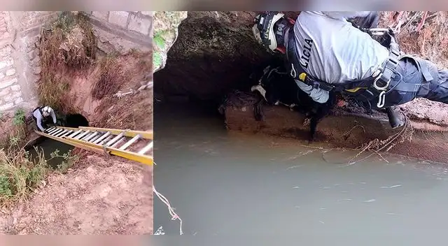 Rescatan a perro atrapado en regadío Rescatan a perro atrapado en regadío