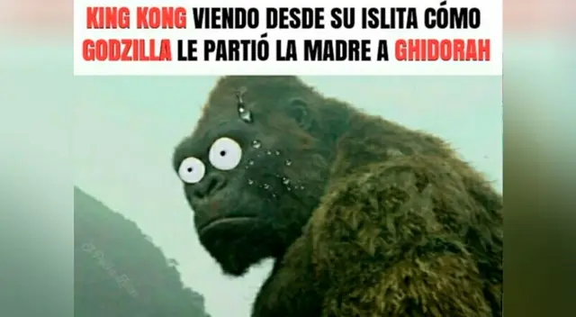 Los divertidos memes tras el estreno de Godzilla vs Kong Los divertidos memes tras el estreno de Godzilla vs Kong