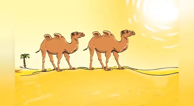 Encuentra el error en la imagen en 20 segundos