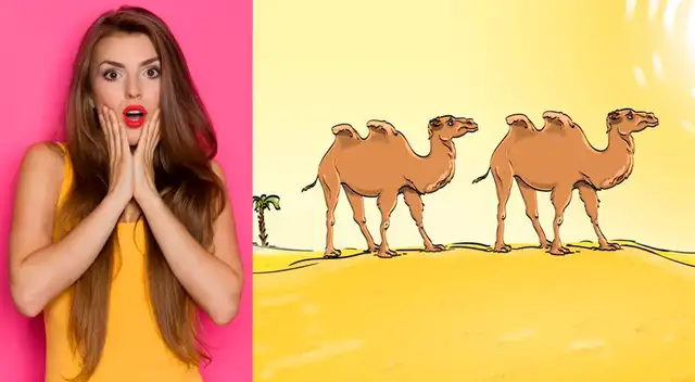 Encuentra el error en la imagen en 20 segundos