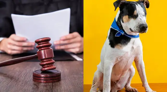 Thor quedó herido de gravedad y perdió la visión tras la agresión.