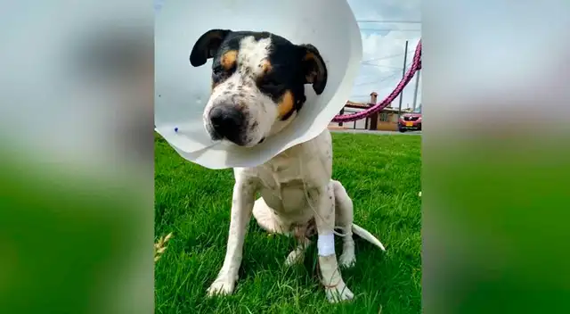 Thor quedó herido de gravedad y perdió la visión tras la agresión.