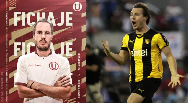 Universitario de Deportes se va armando para la temporada 2021 con Hernán Novick.