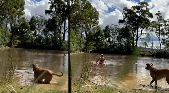 Terrorífica escena en el río se viralizó en las redes sociales.