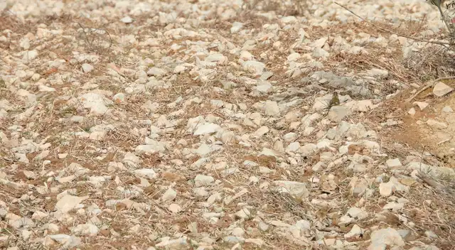 No hay límite de tiempo para hallar la solución de este desafío de Facebook.