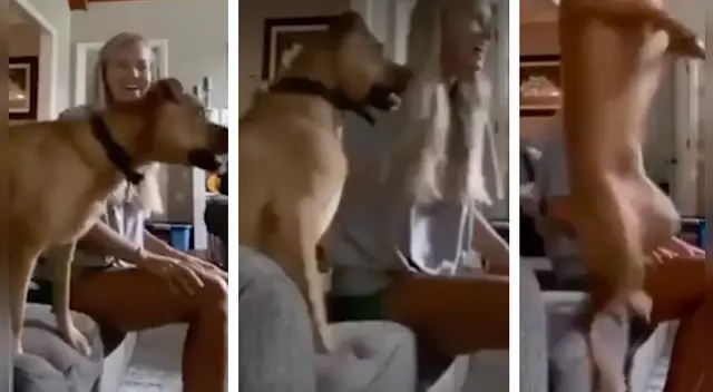 La divertida escena es tendencia en las redes sociales. La divertida escena es tendencia en las redes sociales.