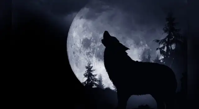 Entérate aquí toda la información para que no te pierdas este increíble evento. Entérate aquí toda la información para que no te pierdas este increíble evento.