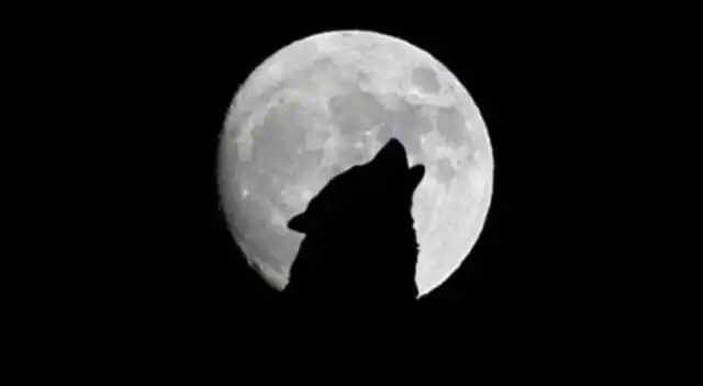 Entérate aquí toda la información para que no te pierdas este increíble evento. Entérate aquí toda la información para que no te pierdas este increíble evento.