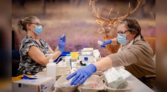 Diversos estudios y encuestas muestran cómo el coronavirus ha afectado a la salud mental. Diversos estudios y encuestas muestran cómo el coronavirus ha afectado a la salud mental.