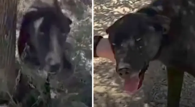 El clip cuenta con miles de reproducciones en YouTube.