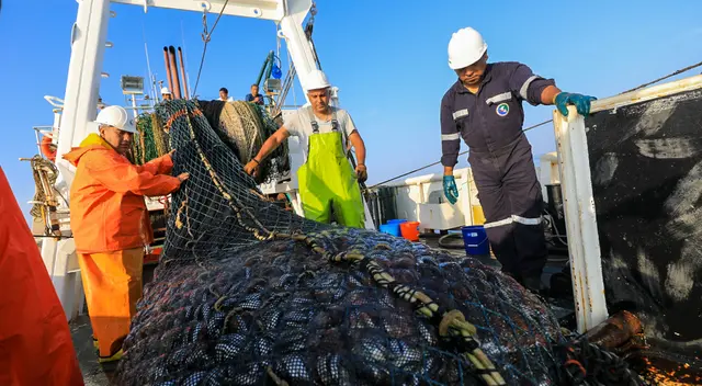 Actividades que se realizarán en la inmovilización obligatoria.