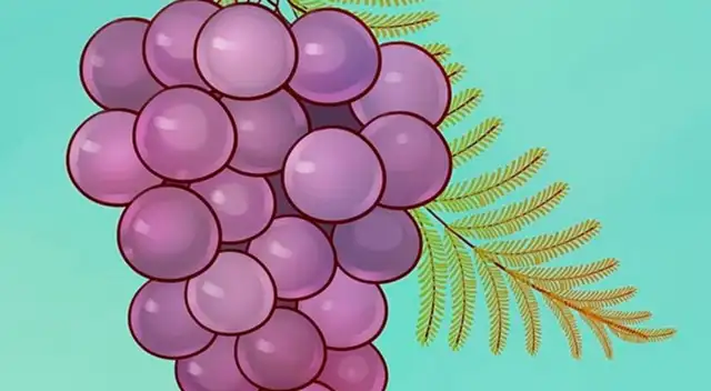 Solo tienes 10 segundos para encontrar la solución a este challenge.