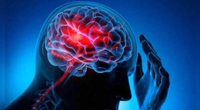 Para la investigación de coronavirus, los expertos de la Universidad Estatal de Georgia analizaron la infección en ratones.