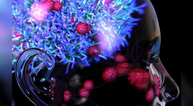 Para la investigación de coronavirus, los expertos de la Universidad Estatal de Georgia analizaron la infección en ratones.