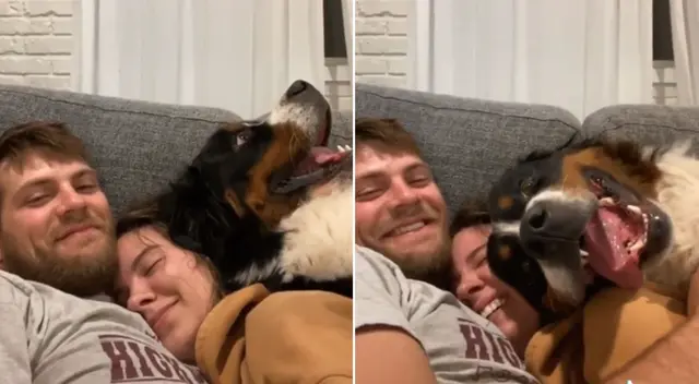 El clip cuenta con miles de reproducciones en TikTok. El clip cuenta con miles de reproducciones en TikTok.