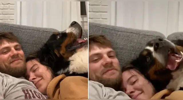 La divertida escena causó sensación en las redes sociales. La divertida escena causó sensación en las redes sociales.