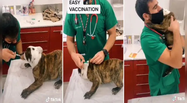 El clip cuenta con miles de reproducciones en TikTok. El clip cuenta con miles de reproducciones en TikTok.