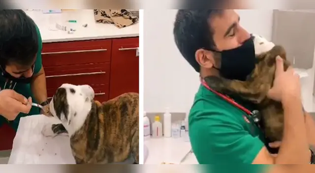 La escena ha sorprendido a miles de usuarios en las redes sociales. La escena ha sorprendido a miles de usuarios en las redes sociales.