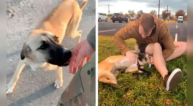 Un joven militar se encariñó con un perro abandonado; sin embargo, tuvo que dejarlo al regresar a su casa. Un joven militar se encariñó con un perro abandonado; sin embargo, tuvo que dejarlo al regresar a su casa.