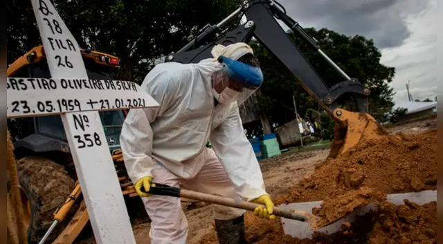 Amazonas es actualmente el estado brasileño, de un total de 27, con la peor proporción de muertes vinculadas a la COVID-19. Amazonas es actualmente el estado brasileño, de un total de 27, con la peor proporción de muertes vinculadas a la COVID-19.