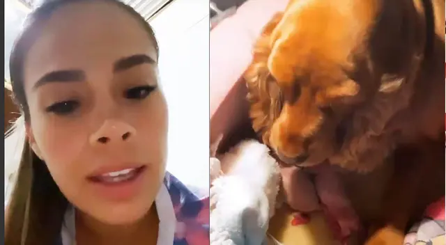 Jossmery Toledo muestra cuidado que tiene con perritos recién nacidos prematuros.